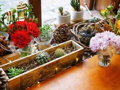 -饵块食光·云南有机手作饵块