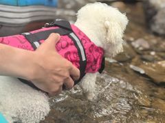 -安吉龙王山峡谷漂流
