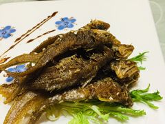 -阿英煲(凉城路店)