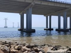 -宝安西湾红树林湿地公园