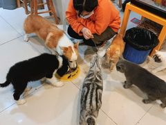 -平行世界·猫咖(首经贸店)