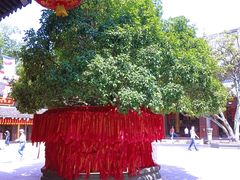 -龙华寺