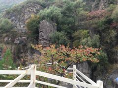 -乌龙峡谷景区