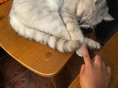 -不舍昼夜咖啡馆