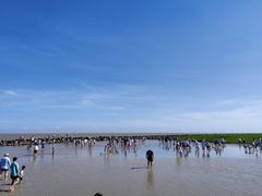 -南汇嘴观海公园