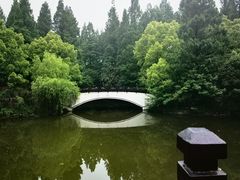 -东平国家森林公园