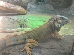 -福州罗源湾海洋世界旅游区