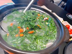 -羽鸽集·乳鸽专门店·地道顺德菜(岭南站店)