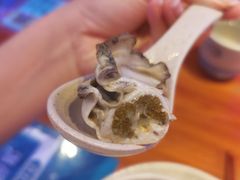 -千岛蚝高压锅生蚝·人参火锅(白云万达店)