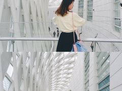 -凤凰中心