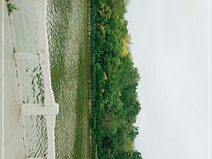 -塘沽森林公园