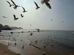 -老虎石海上公园