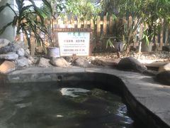 -河北霸州茗汤日月潭温泉