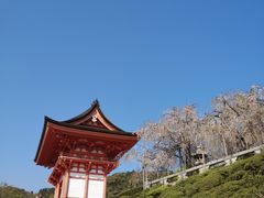 -有栖山 清光院 清水寺