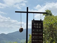 -呀诺达热带雨林