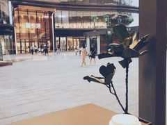 -Seesaw Coffee(苏州中心店)