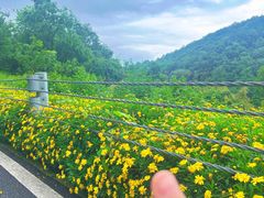 -铜锣山矿山公园