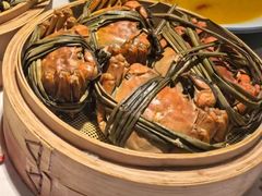 -杨氏青龙虾·羊蝎子(金盛路总店)
