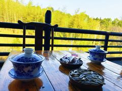 -大唐贡茶院