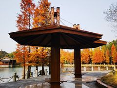 -尚湖风景区