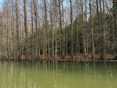 -上海海湾国家森林公园