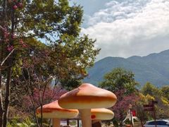 -广州市流溪河国家森林公园