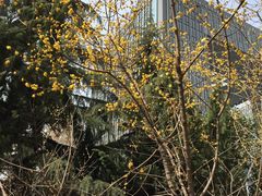 -咸阳湖景区-统一广场
