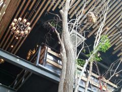 android_upload_pic-漫咖啡MAANCOFFEE(清江路店)