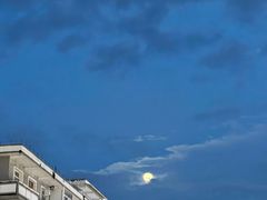 -四川农业大学(雅安校区)