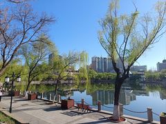 -文瀛公园