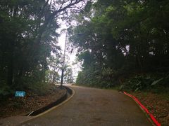 -广州市帽峰山景区