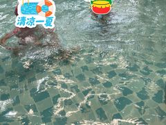 -南宫温泉水世界