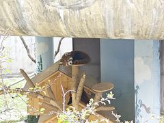 -青藏高原野生动物园