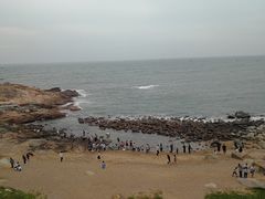-广东惠东海龟国家级自然保护区