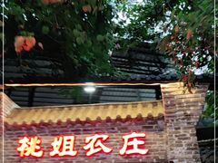 门面-桃姐农庄老字号(从化温泉店)