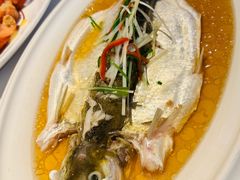 -老洋房花园饭店(绍兴路店)