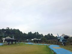 -空港花田景区