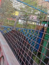 -萌宠亲子动物乐园(槐房万达店)