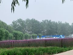 -北戴河集发农业梦想王国
