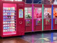 -大鲁阁保龄球(苏州园区店)