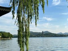 -柳莺湖上·湖景餐厅·江南菜(西湖店)