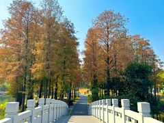 -四海公园(南山区)