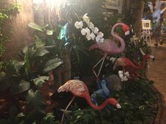 -清迈夜间动物园