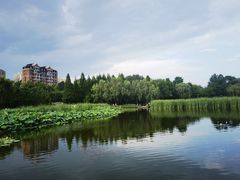 -前关湿地公园