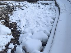 -秦岭终南山世界地质公园翠华山景区