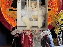 -NINES推理馆·实景侦探推理剧MIXPLAY(静安店)