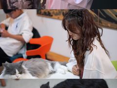 -猫爪屋猫咖(乐汇城店)