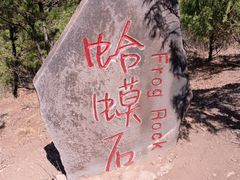 -磬锤峰森林公园