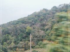 -广州市石门国家森林公园