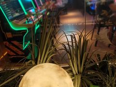 -水之梦(黄浦店)